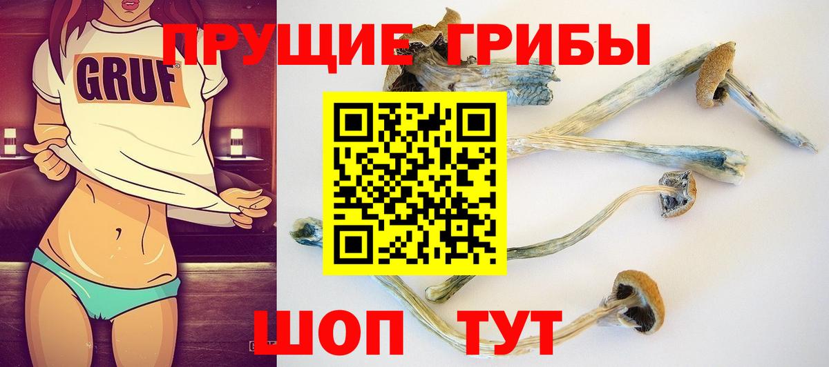 Галлюциногенные грибы прущие грибы  Вход с VPN  Нефтекамск 